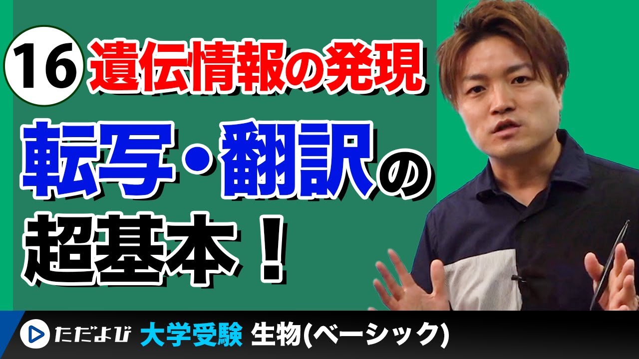 【生物】遺伝情報の発現【第16講】