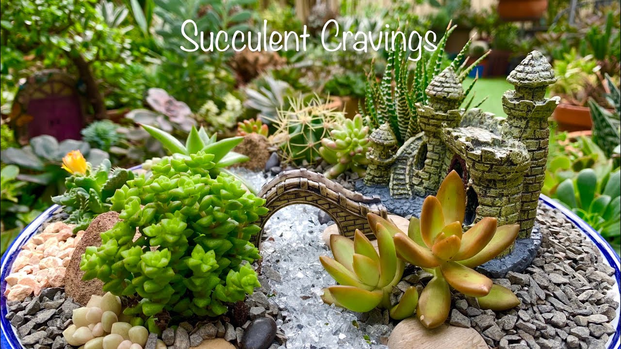 Succulent Arrangement in Ceramic Serving Dish