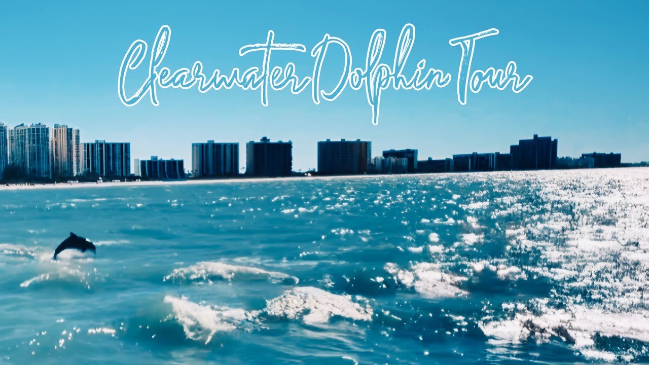 CLEARWATER DOLPHIN TOUR | FUN THINGS FOR FAMILIES TO DO IN FLORIDA | LITTLE TOOT BOAT TOUR