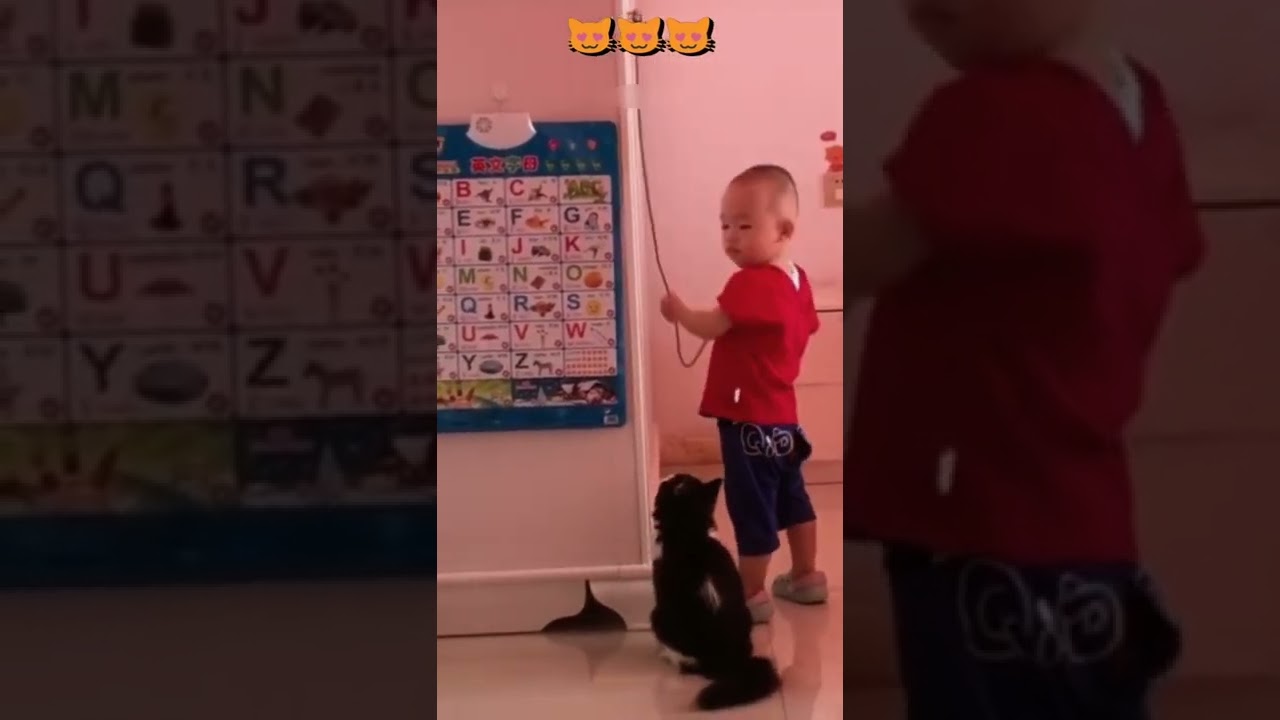 Cute Cat | The Cute Cat Took Off The Plug But The Child Could Not | #JHTV #shorts #1000iq