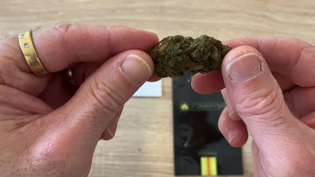 Cheese CBD - Yummyweed