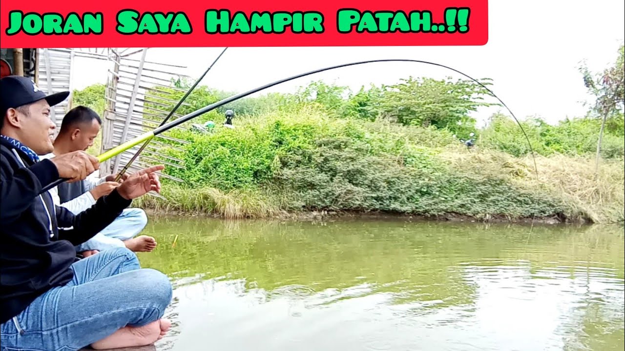 Muara Kamal, Surga nya Mancing Bandeng
