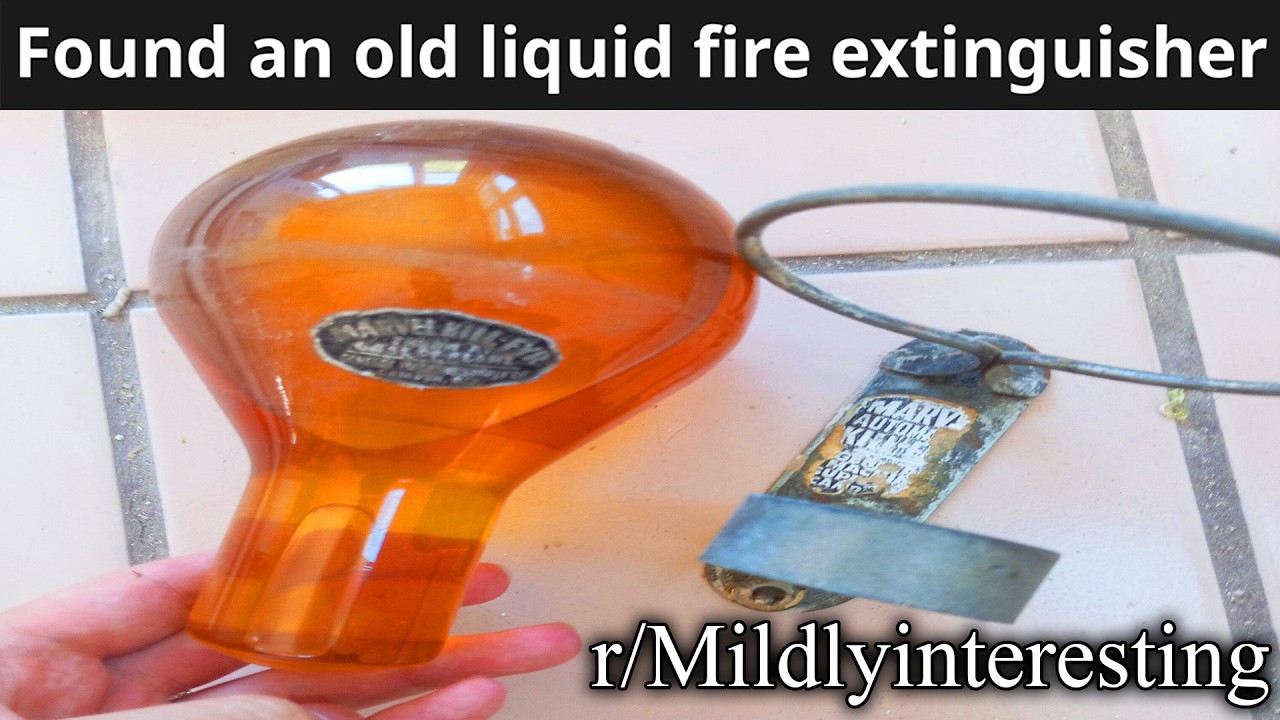 actually fascinating reddit