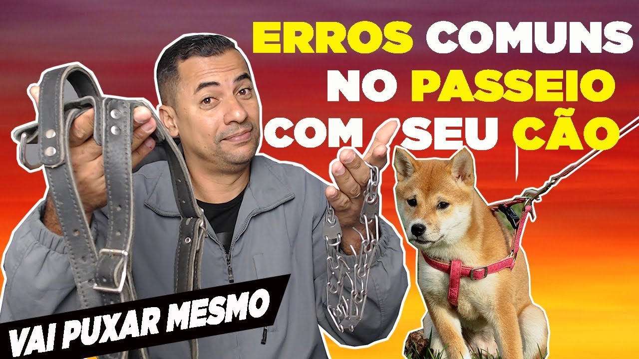 SEU CÃO ARRASTA NOS PASSEIOS l VEJA ISSO