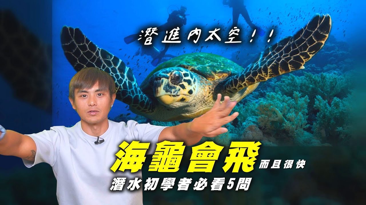 新手五問！自由潛水VS水肺潛水比一比！考證照會不會很貴？我適合哪一種潛水？｜潛水入門｜#跟著政峰去潛水 #OH海歸