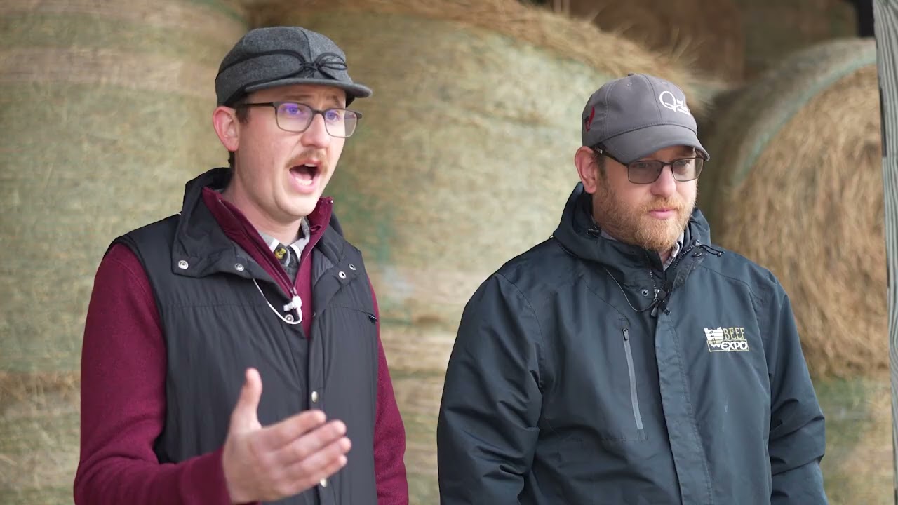 Forage Test Results Explained