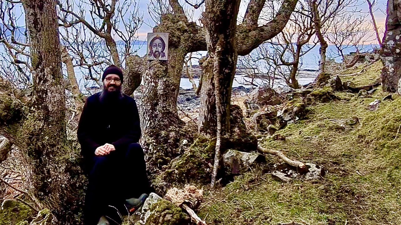 Mental struggle, Sin and Judgement. A lesson from the trees on the coast.