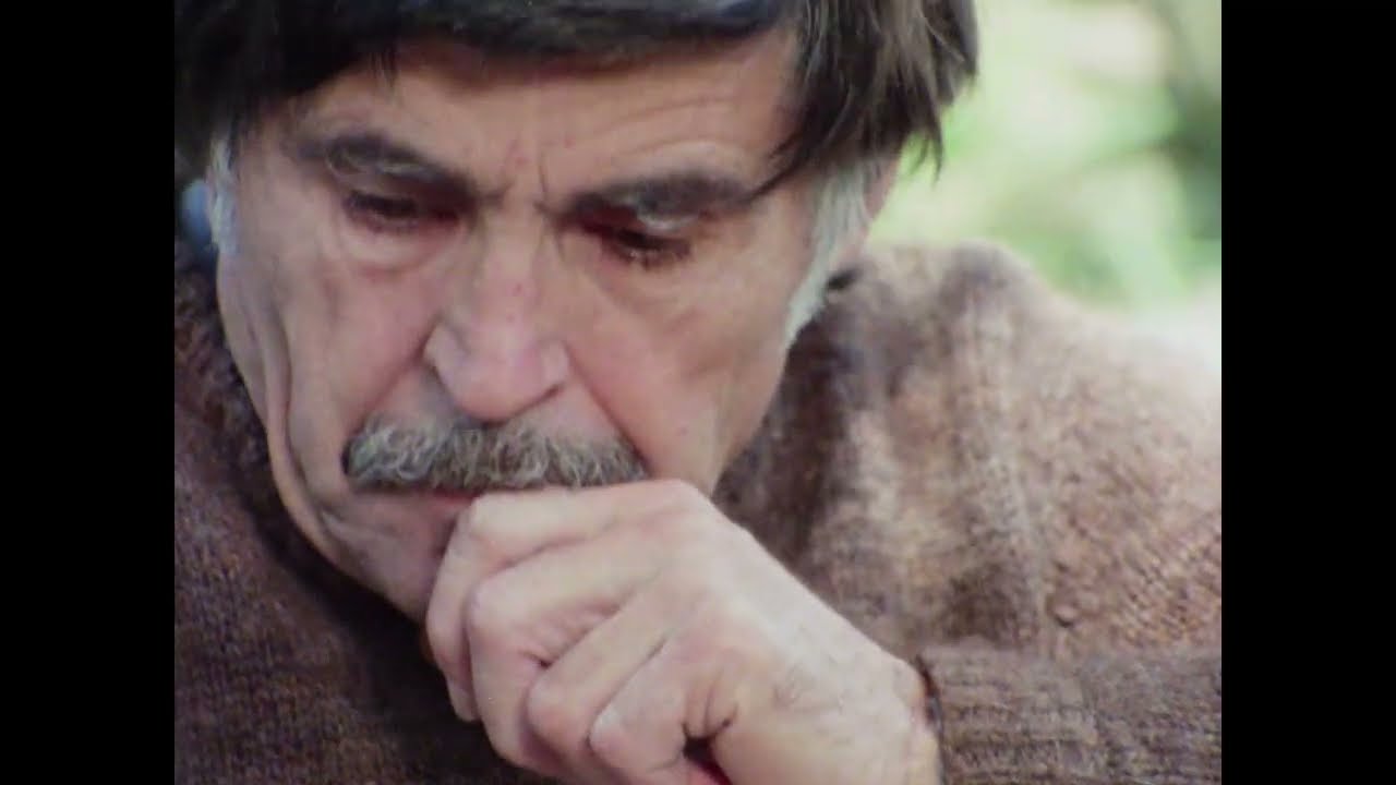 Heart Head and Hand (Peter Weir, 1979)