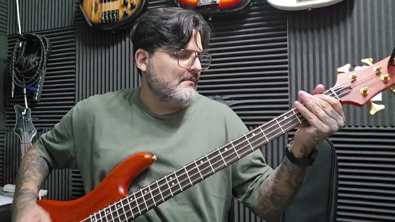 American Jesus - Bad Religion - Bass cover #badreligion #basscover🎸🎧 #schecterguitarsofficial 