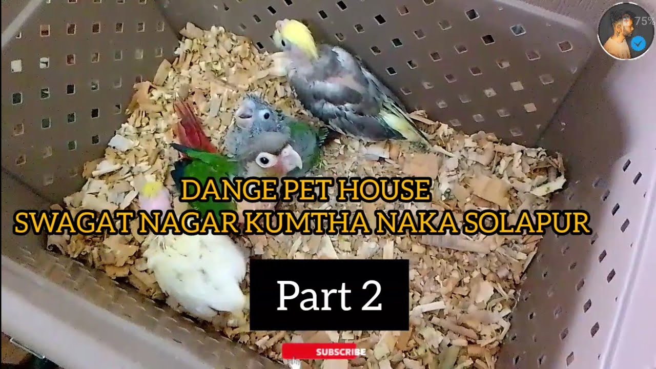DANGE PET SHOP PART 2 OF 3 | EXOTIC BIRDS AND ANIMALS | @RiyazKorbuvlogs