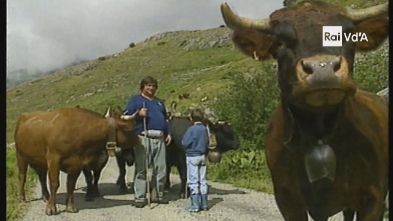 LA MONTAGNA DI AURELIO
