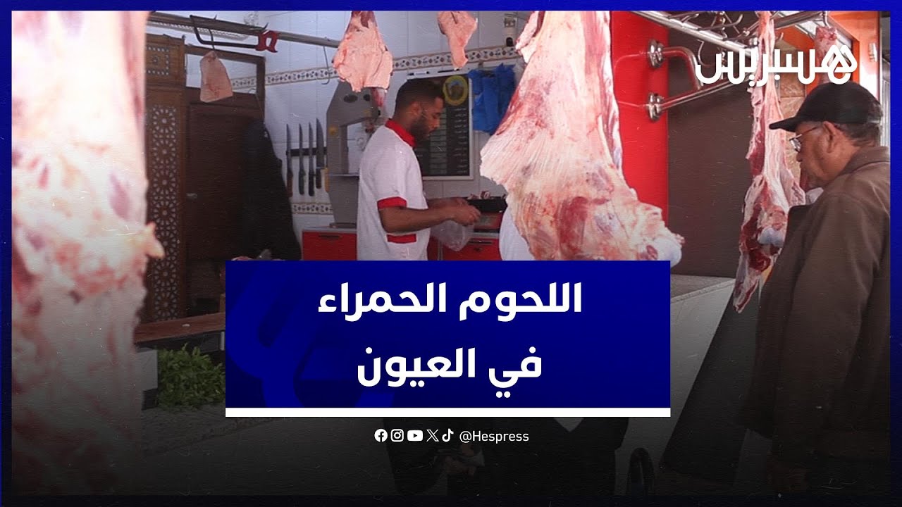 أسعار اللحوم الحمراء  تسجل ارتفاعا في مدينة العيون  .. كسابة يشتكون وحماية المستهلك تدخل على الخط