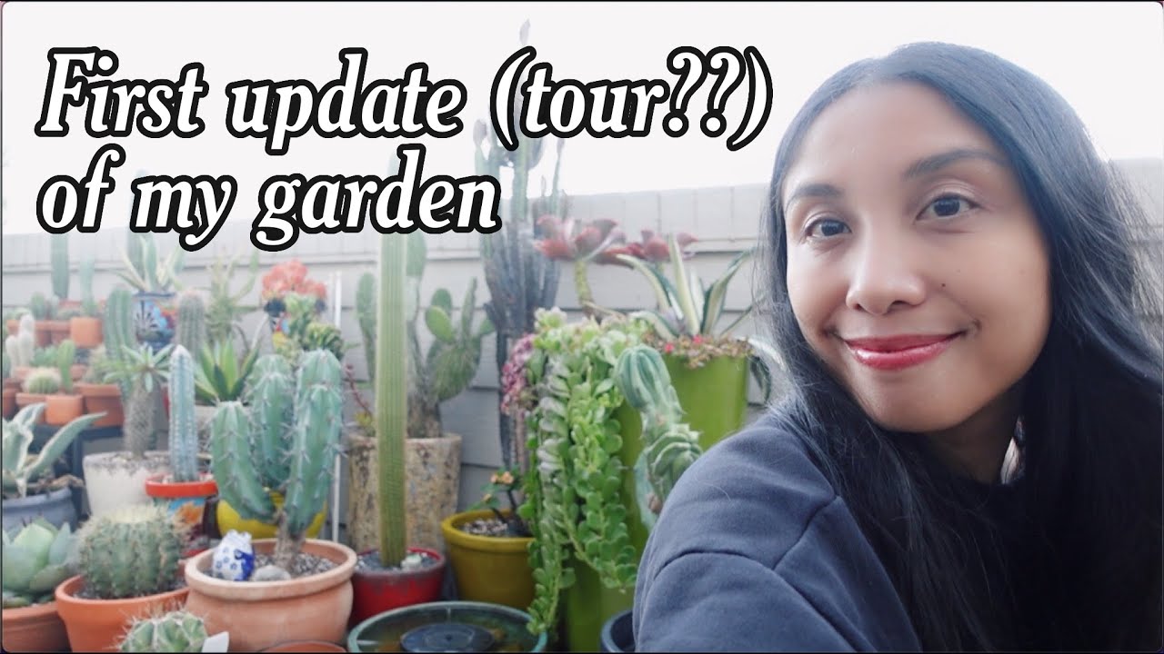 First update/tour of my succulent and cacti garden