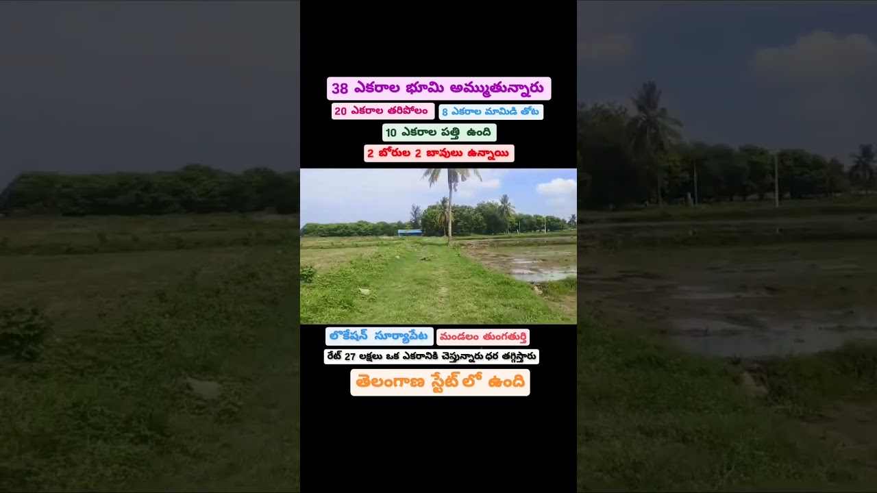 Call : 9490828796 | #realestate #telangana #landforsale #vairalvideo #agriculture #shorts