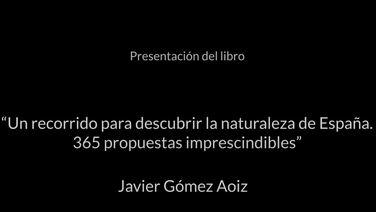 Conferencia 
