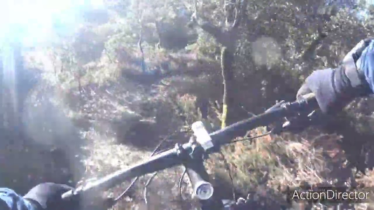 Nueva senda en la Rubiona 