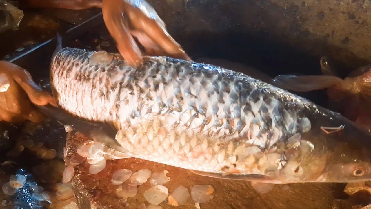 Mrigal Fish Cleaning and Chopping by Expert Fish Cutter | Fish Cutting Skills