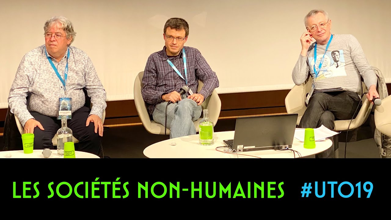 LES SOCIÉTÉ NON-HUMAINES