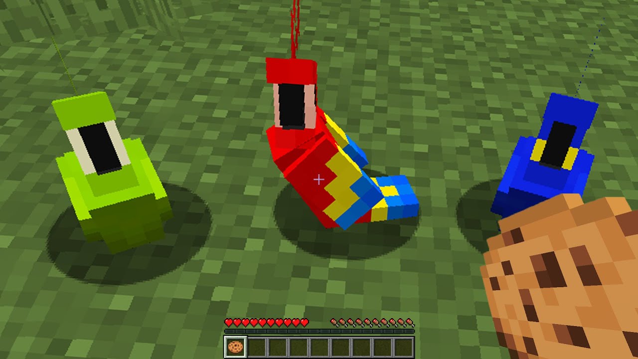 So I annoyed my minecraft live stream...