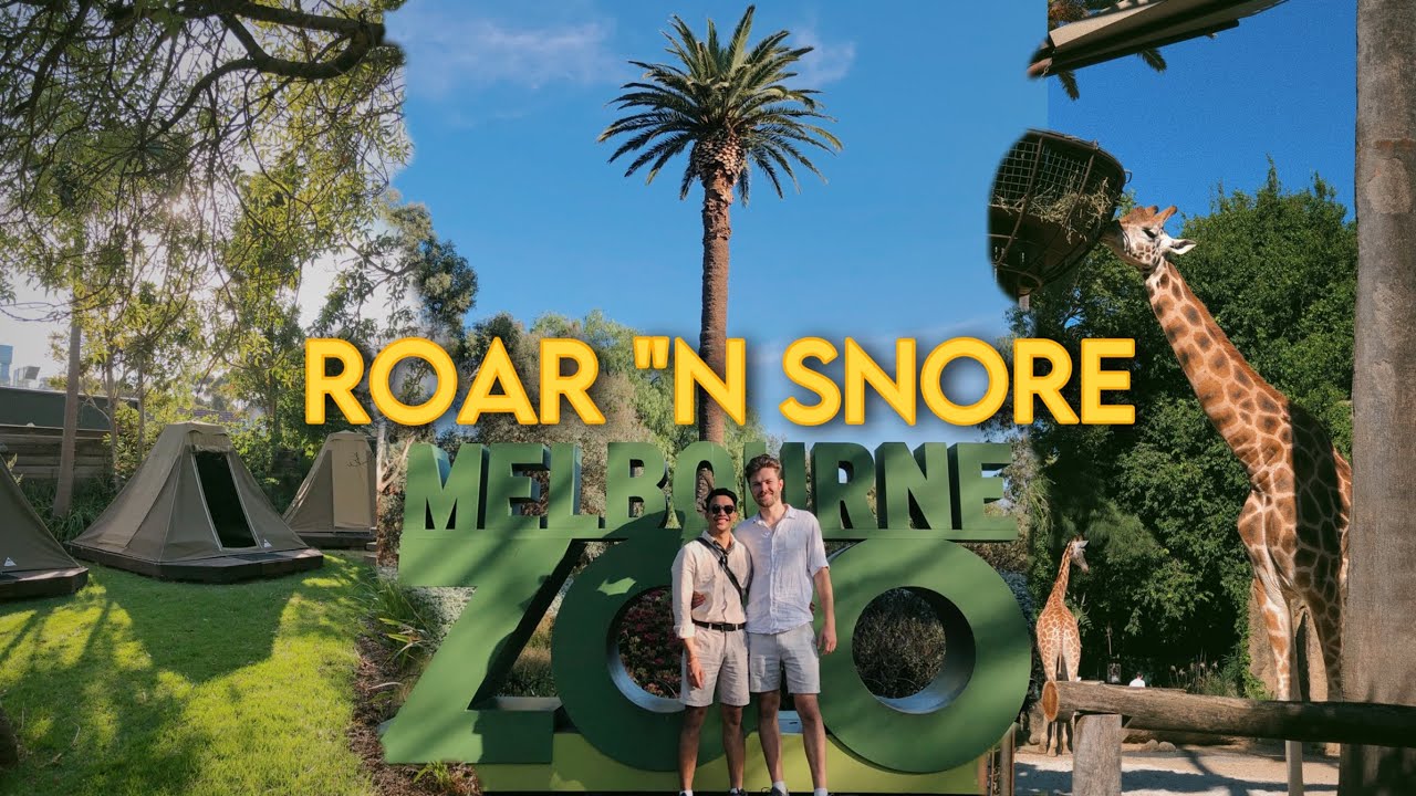 Roar and Snore at Melbourne Zoo