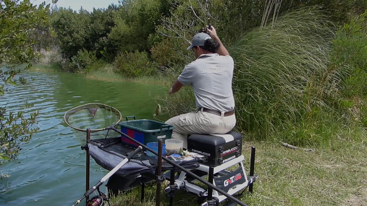 À Pesca -  Feeder na Quinta da Boavista
