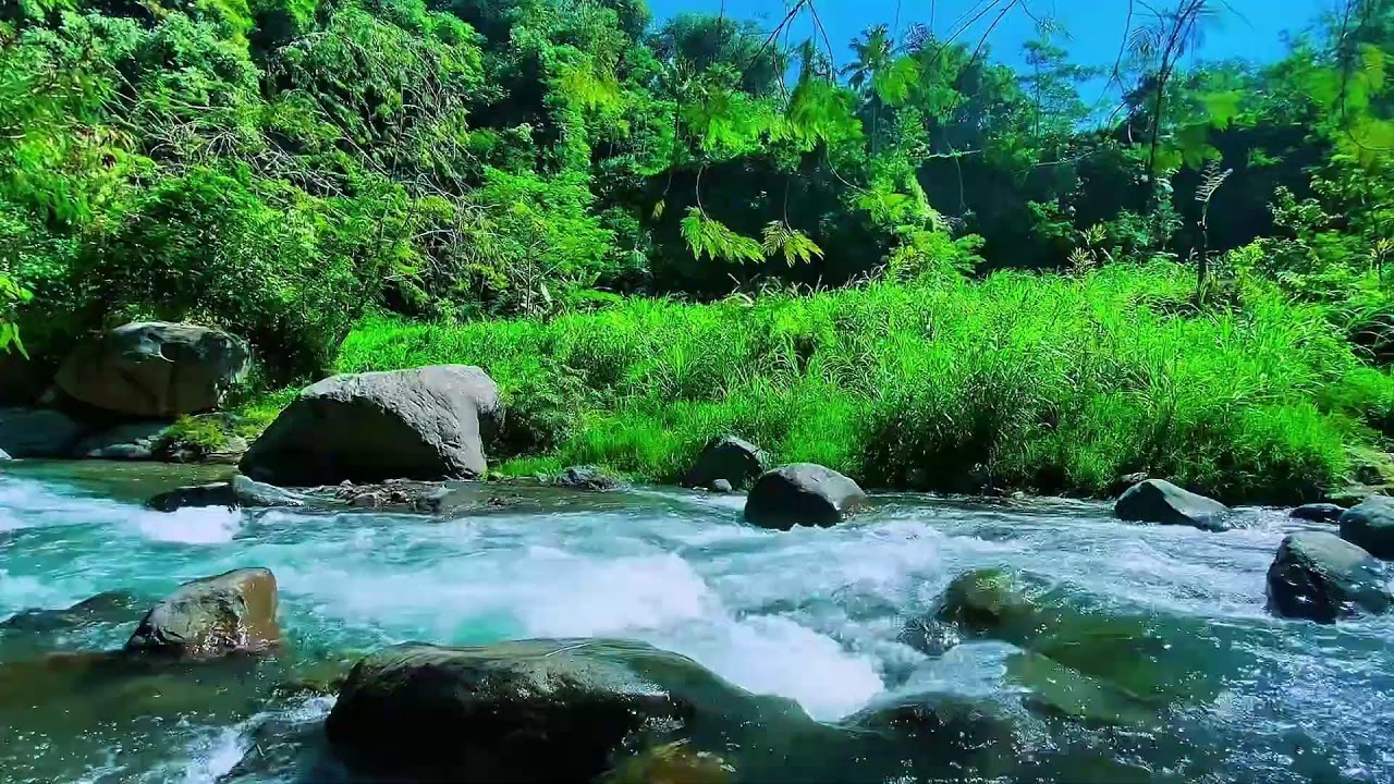 Mountain Stream Quiet Flow, Forest River Water, Sleeping