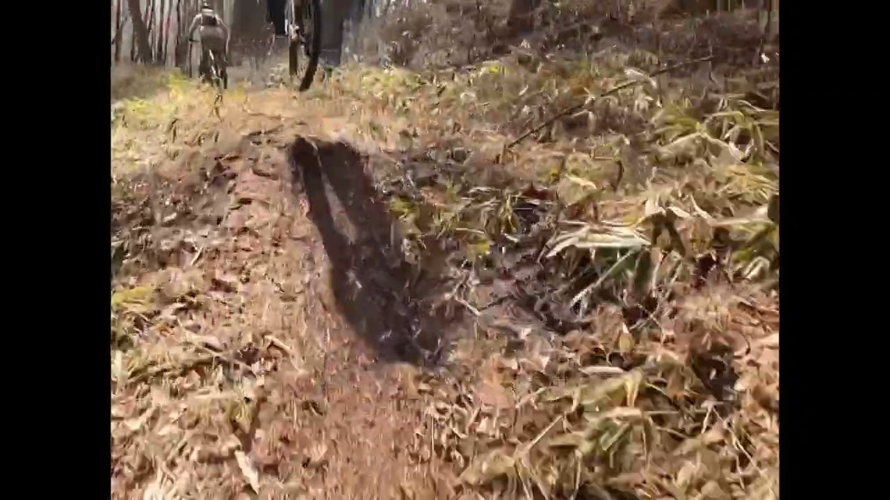 pee-trail Rivers しょーカメ