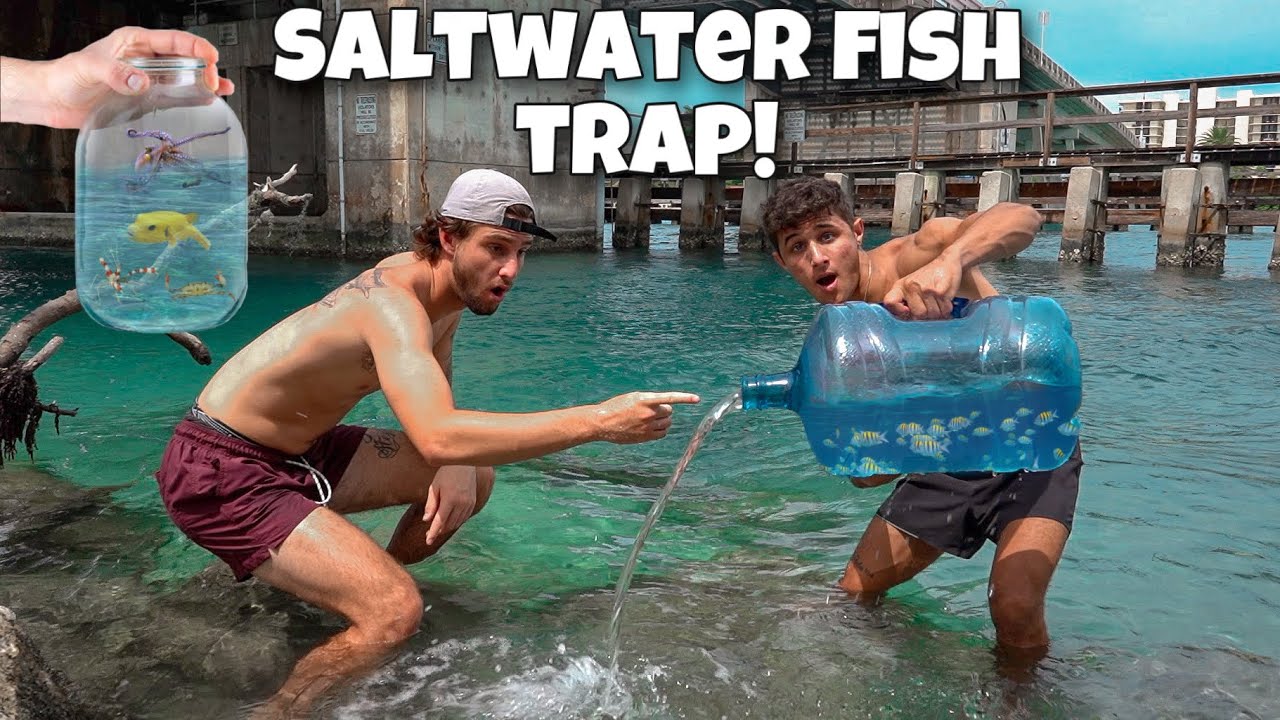 FISH TRAP Catches Exotic FISH and INVERTEBRATES!!