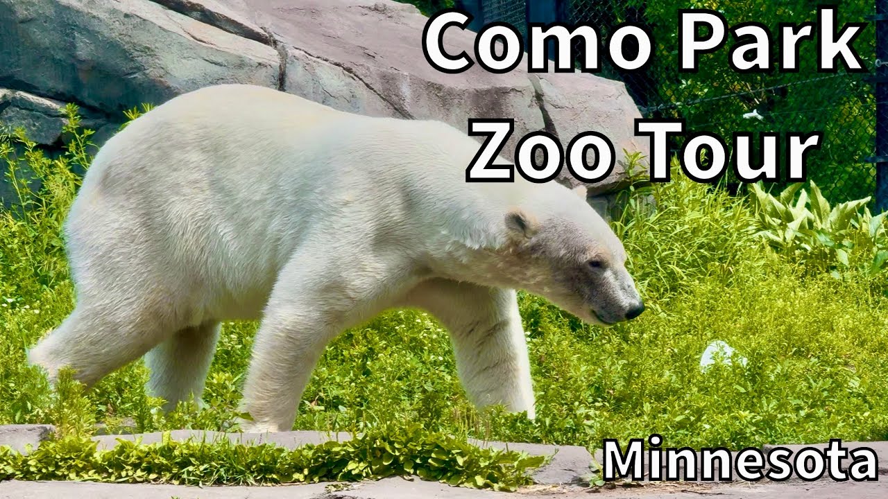 Tour of the Como Park Zoo - Saint Paul, Minnesota - USA