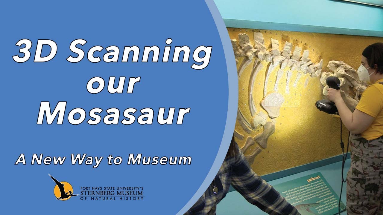 3D Scanning our Mosasaur | A New Way to Museum