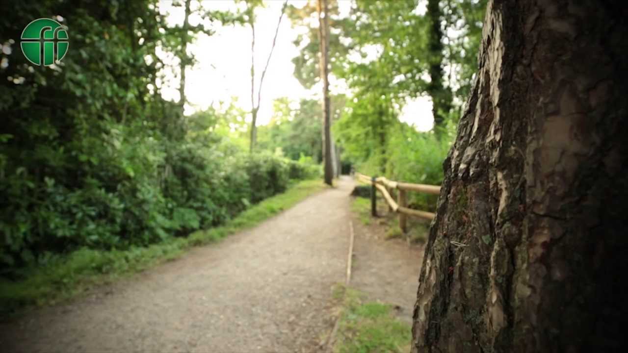 Fleet Hampshire, about our Town.