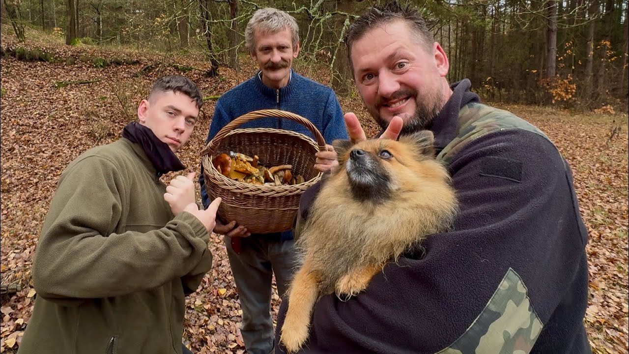 grzybowe szaleństwo i STACHU pierwszy raz CZERWONE grzyby znalazł 11 LISTOPADA 2025 SZOK 