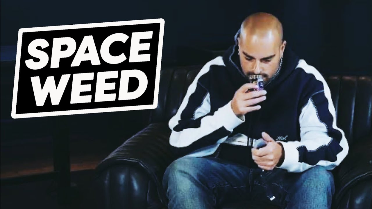 Berner's Advice to LMC & the Space Weed Brand