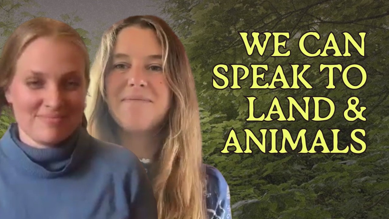 Earth literacy is the original magic | Sylvia Linsteadt