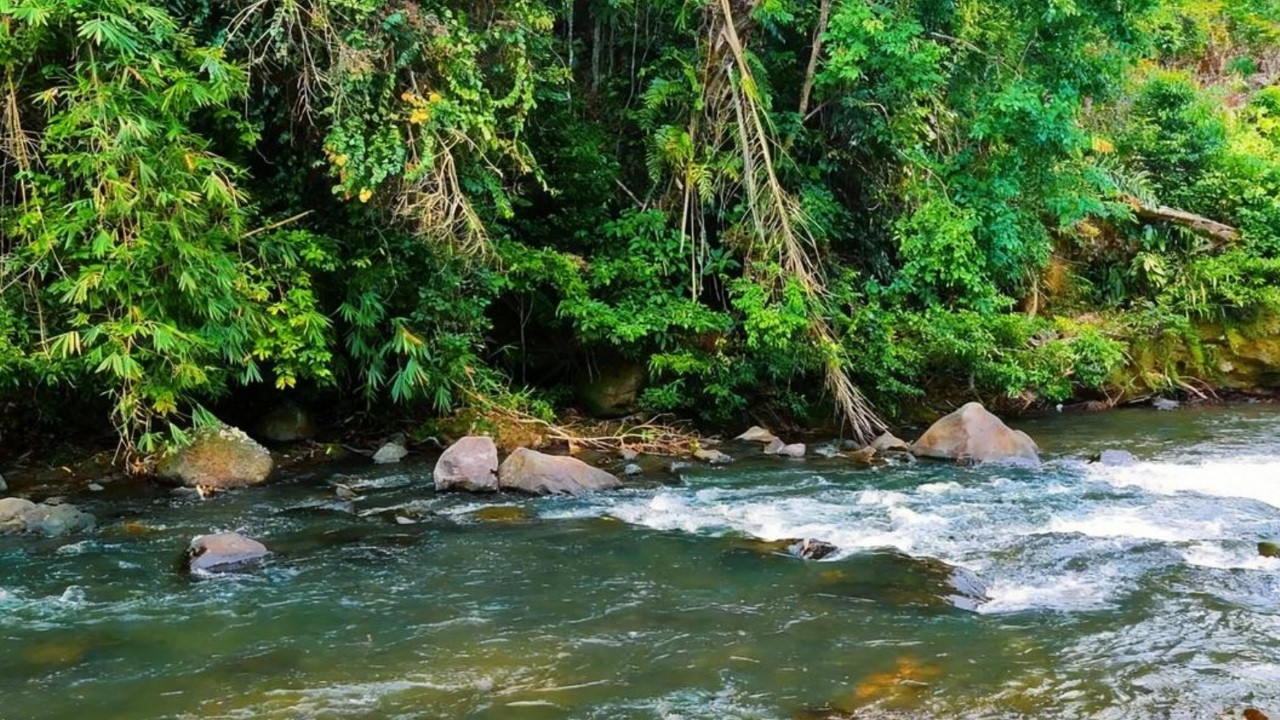 Deep Relaxation with River Sounds 🌊 Calm Nature White Noise