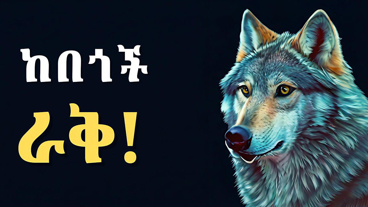 ወደ ታች ለሚጎትቷችሁ የውሸት ጓደኞች የምትሰጡት ቆራጥ ምላሽ | The Alpha Wolf Mindset