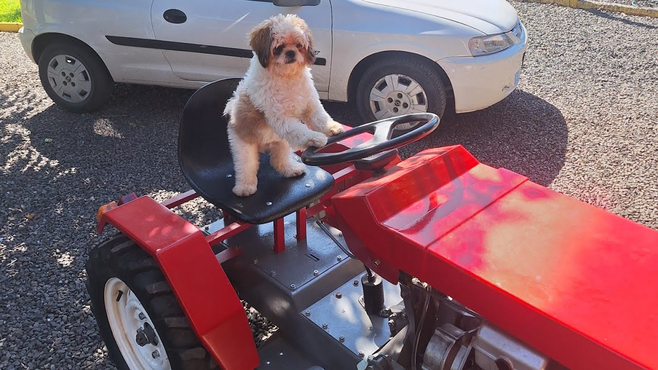 Trator caseiro com motor estacionário de 420cc
