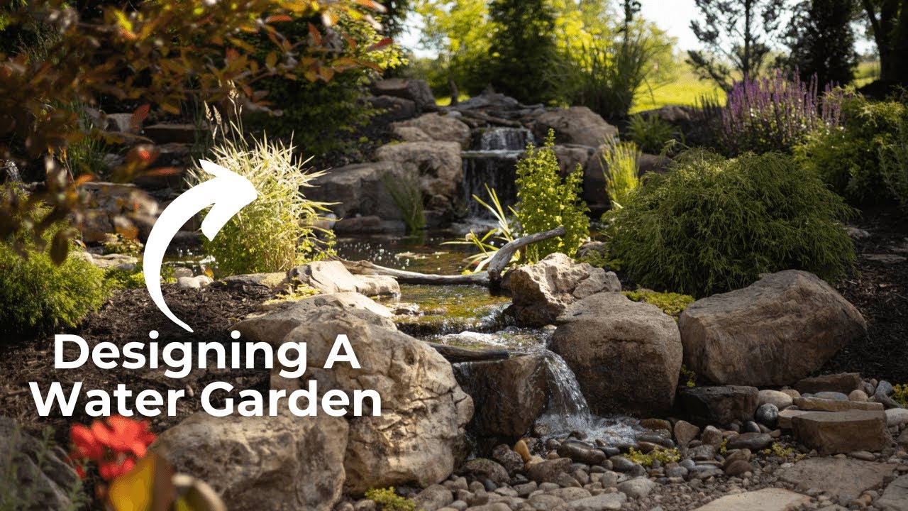Designing a Water Garden | DREAM BACKYARD