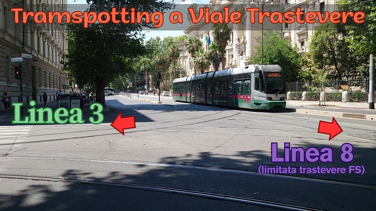 I tram delle linee 3 e 8 di Roma a Viale Trastevere