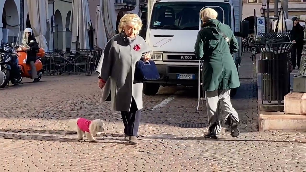 Padova , итальянский рынок , находки !