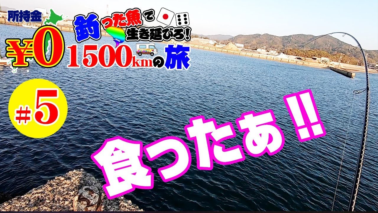 釣った魚で生き延びろ‼所持金０円1500kmの旅 #5