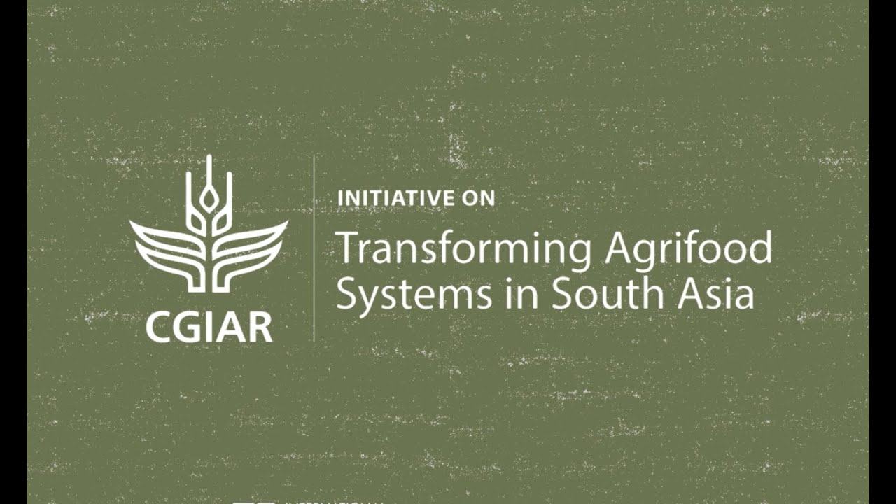 Harvesting Hope - Transforming Agrifood Systems in South Asia (TAFSSA)