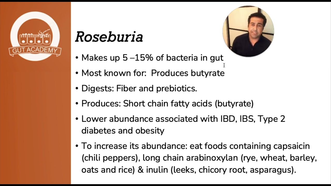 Focus on Roseburia