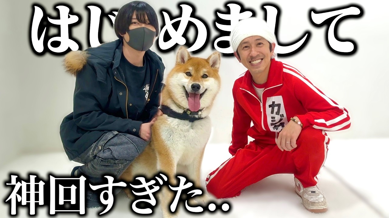 【おい…すごいぞ？】初対面のカジサックさんに大興奮する柴犬こまちゃんが可愛すぎました…※永野芽郁、エガちゃんの炎上について本音トークがヤバすぎた。