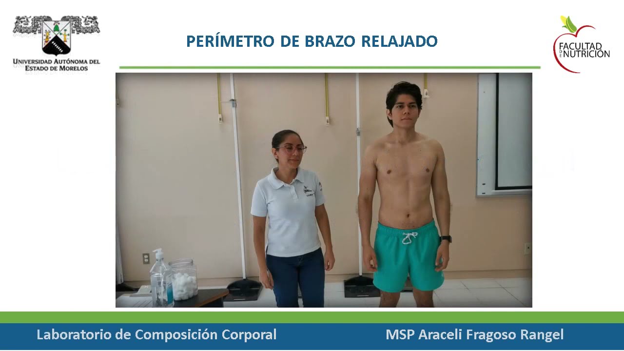 Perímetro de brazo relajado