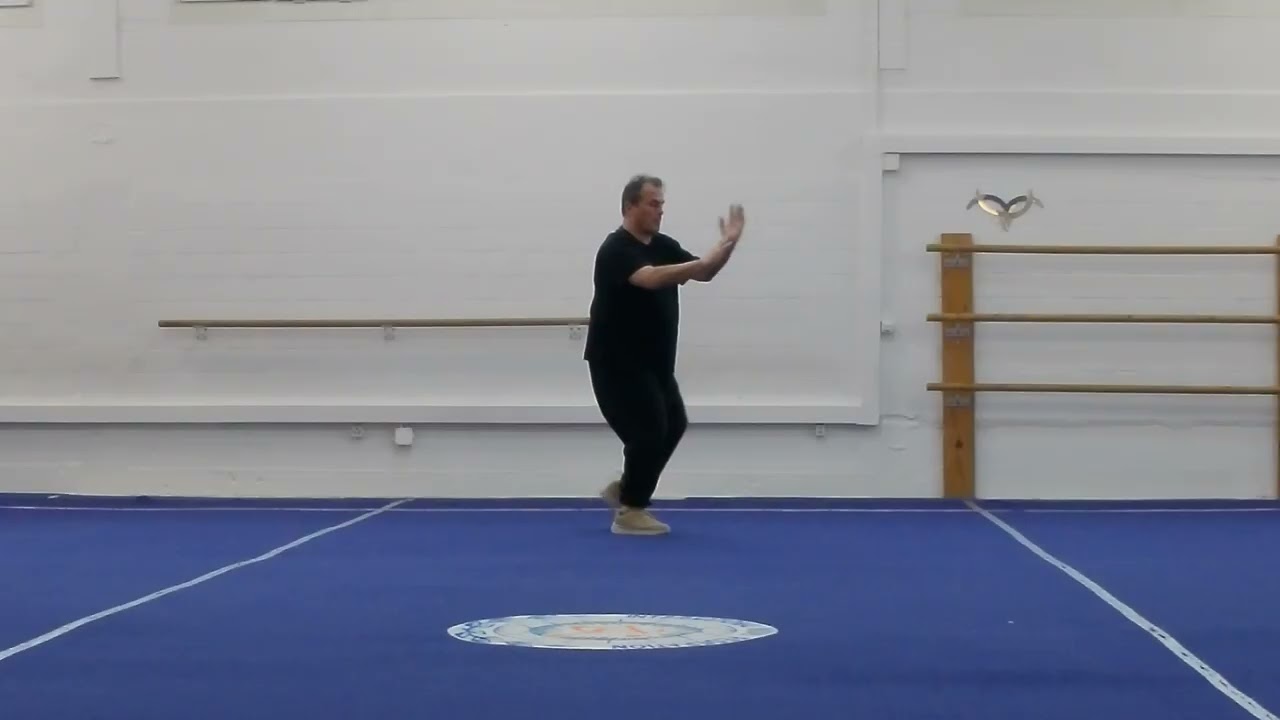 和式太極拳 - He Style Taijiquan - Simplified Routine with 26 Postures