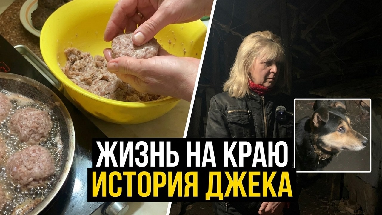 ГРУСТНАЯ ИСТОРИЯ ИЗ МОЕЙ ЖИЗНИ  |  ЖИВУ НА КРАЮ СЕЛА У ЛЕСА.