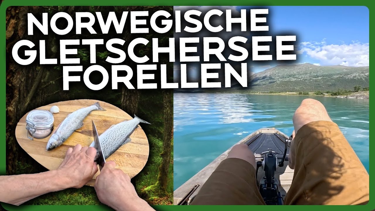 Gletschersee-Forellen in Norwegen – gebraten mit Kartoffeln in der Wildnis 🇳🇴🔥
