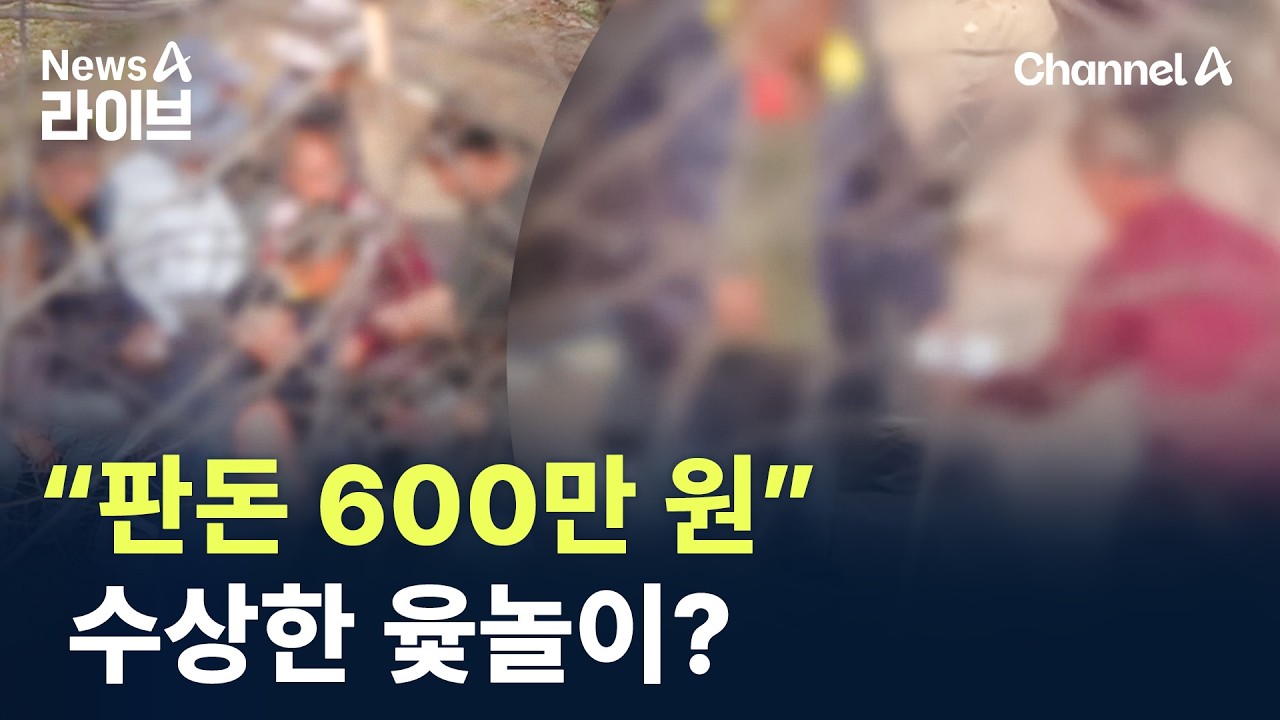 &ldquo;판돈 600만 원&rdquo; 수상한 윷놀이? / 채널A / 뉴스A 라이브
