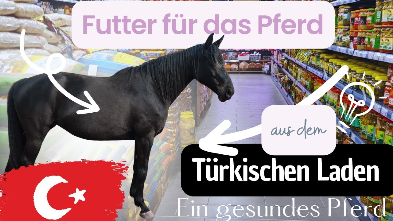 Gute Futtermittel für´s Pferd aus dem türkischen Laden